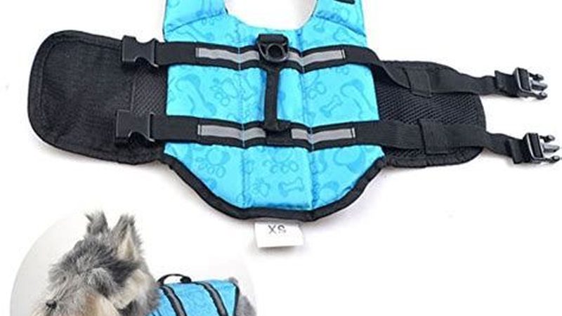 塑料工业冷水机定制：揭秘定制化解决方案的关键要素
